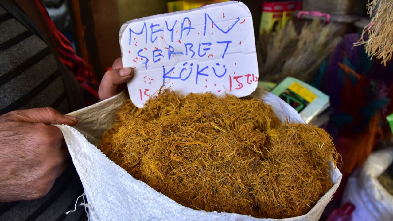 Ramazanda meyan köküne büyük ilgi! Meyan kökünün faydaları neler? Meyan