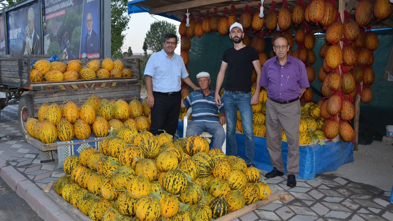 Bebek gibi davranılan kavunlar askıda! Kavunlar askıda! Ünlü Kırkağaç