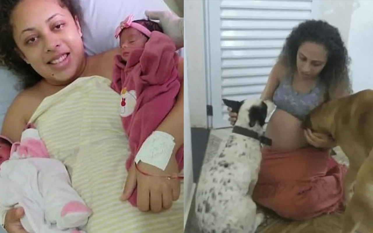 Brezilya Da Ikiz Bebekler Evde Bulunan Labrador Cinsi Kopegin Saldirisi Neticesinde Hayatini Kaybetti