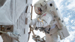 6 ay Uluslararası Uzay İstasyonu'nda kaldılar: Crew-7 ile uzaya gönderilen 4 astronot döndü