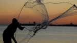 Tunceli'de ağını sudan çeken balıkçı, ağa takılanı görünce çok hızlı hareket etti. Tecrübeli balıkçının ilk defa başına gelmiyordu