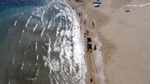 Mersin'de sahilleri kaplayan canlılar hakkında yapılan incelemenin ardından kötü haber geldi. Çok tehlikeli, yetkililer acil harekete geçti. Tek tek topluyorlar
