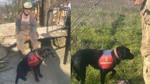 Zonguldak'ta zihinsel engelli adam kaybolunca, iz takip köpeği sayesinde bulundu!