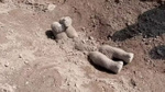 Hayvan mezarlığına giden araştırmacılar, bir filin gömülü şeklini görünce hayrete düştü. Hemen kağıtlarını çıkarıp o notu yazdılar