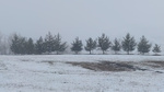 Erzurum'da kar yağışı etkili oldu