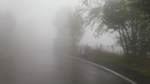 Zonguldak'ın yüksek kesimleri sisle kaplandı! Göz gözü görmedi