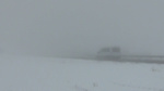 Kars'ta yoğun sis etkili oldu! Görüş mesafesi 10 metreye kadar düştü