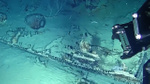 Yüzyıllar önce denizin dibine gömüldü. 10 yıl önce keşfedildi ancak kimse elini bile süremedi. Tam 17.000.000.000 milyar dolar değerinde. Yakında çıkarılacak