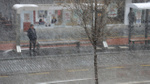 Kırşehir'de kar yağışı ve soğuk hava etkili oldu