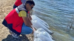 Kütahya’da 118.000 tanesi doğayla buluşturuldu. Saniyeler içerisinde her yerdeydiler