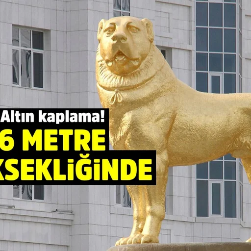 Turkmenistan Devlet Baskani Gurbangulu Berdimuhamedov Un Baskente Diktirdigi 6 Metre Yuksekligindeki Altin Kaplama Alabay Cinsi Kopek Heykeli Ulkeyi Karistirdi