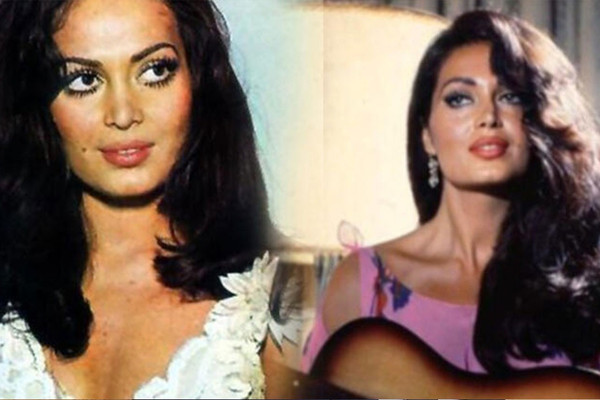 Socipol Com Socipol Com