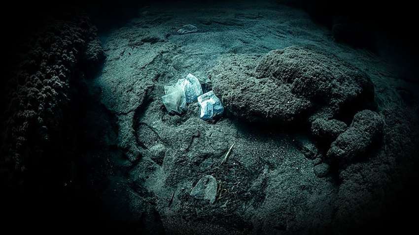 Plastik çöpler dünyanın dibine kadar ulaştı!