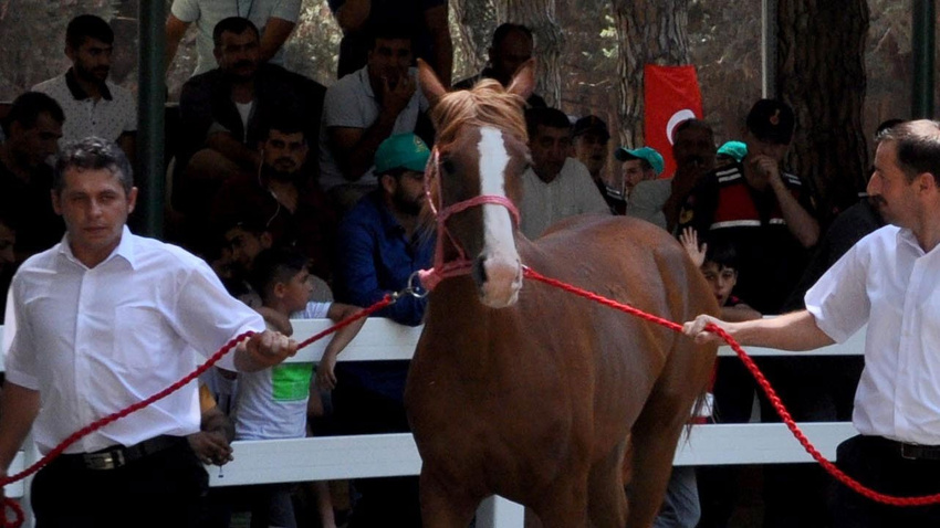 Tay satışlarına 'Kaizbert' engeli