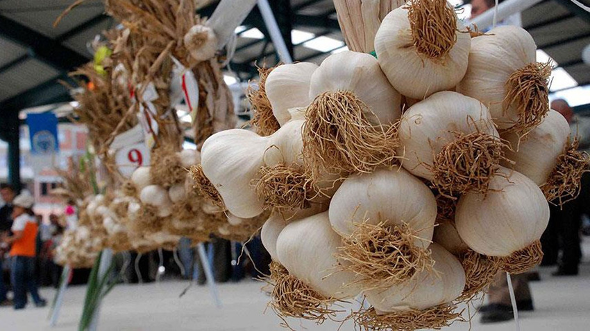 Bunu biliyor muydunuz? Kabuklarını sakın çöpe atmayın!