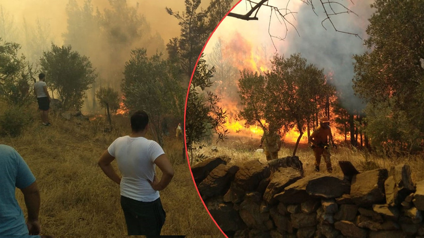 Bodrum ve Milas'ta yangın kontrol altına alındı