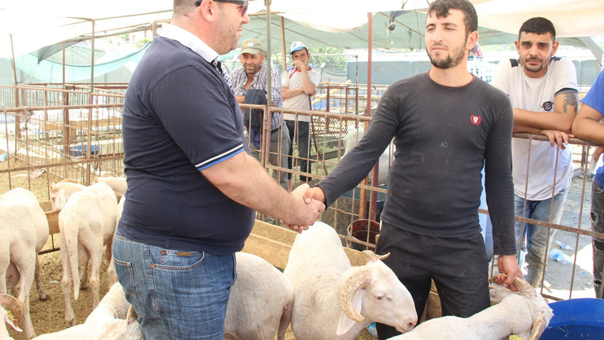 Elde kalan kurbanlıkları Et ve Süt Kurumu alacak