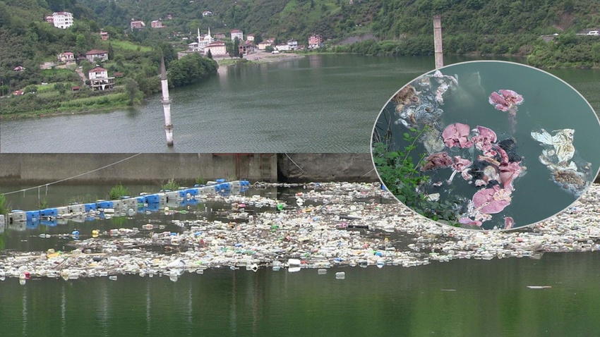 Baraj gölü kurban atıklarıyla doldu
