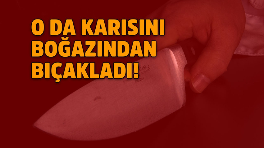 İkinci Emine Bulut vakası