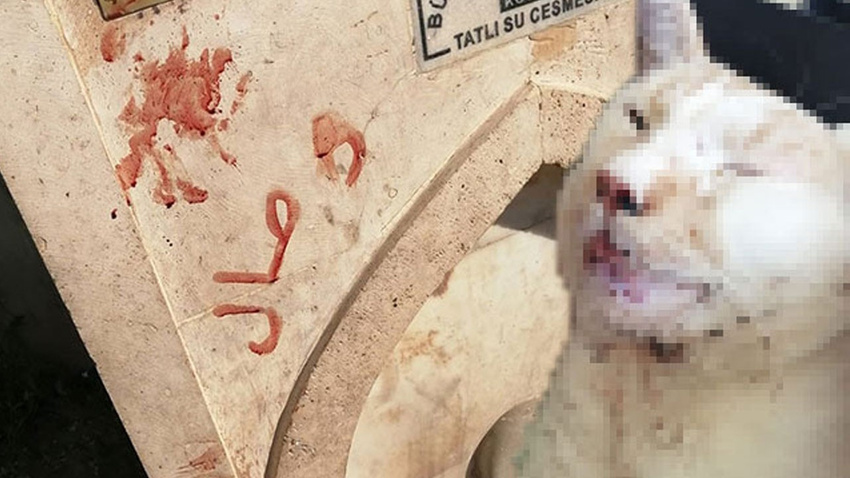 Tüyler ürperten işkencenin adresi Konya!.. Kanıyla çeşme mermerine yazı yazmışlar!
