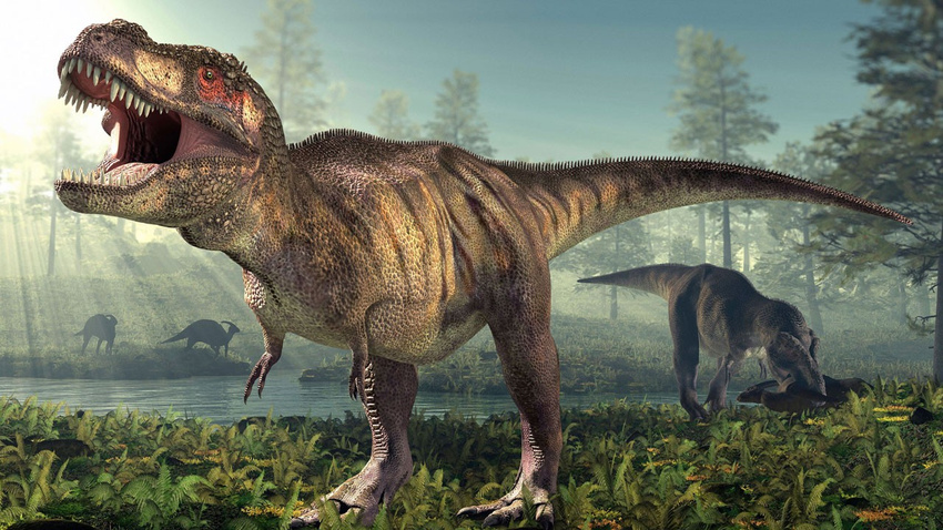 T-Rex'ler hakkında Hipotezleri tersine çevirecek keşif