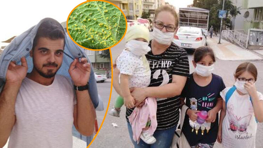 'Yaprak biti' istilasına karşı maskeli önlem