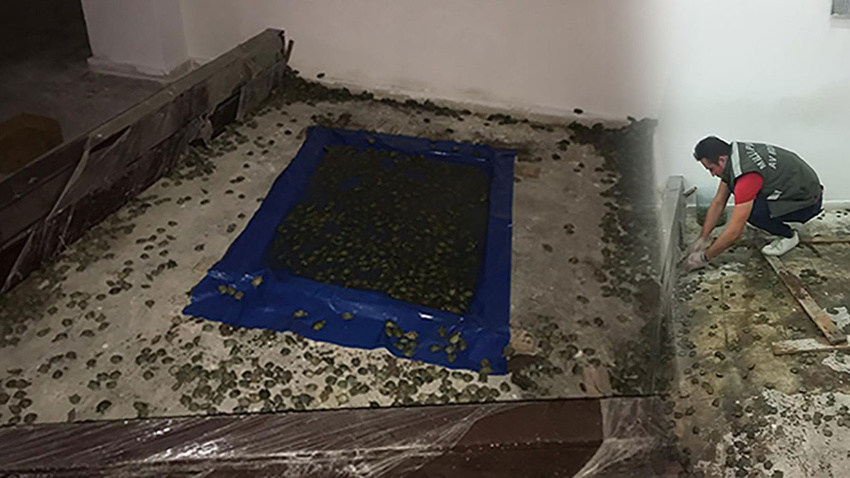 Sarp Sınır Kapısı'nda yakalandı