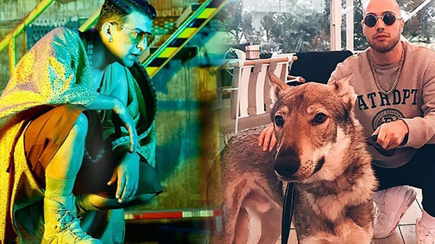 Ben Ferocular, Norm Enderciler'e karşı: Instagram savaşları