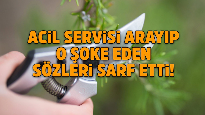 Kocasının penisini budama makasıyla kesti!