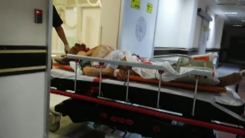 Erzurum'da ayı saldırdı: 1 ölü, 2 yaralı