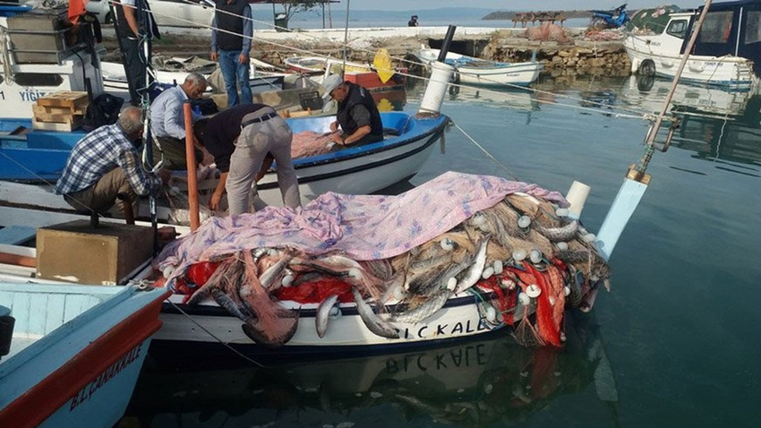 Lüfer için açıldı, 1.5 ton kefalle döndü