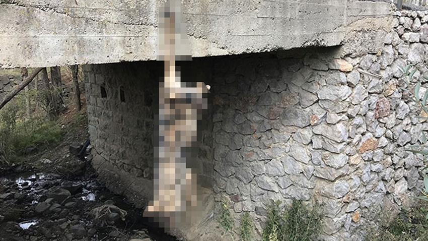Bunun adı vahşet!.. Korkunç halde bulundu!