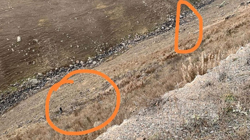 Ayı saldırdı, canını kurtarmak için uçurumdan kendini attı