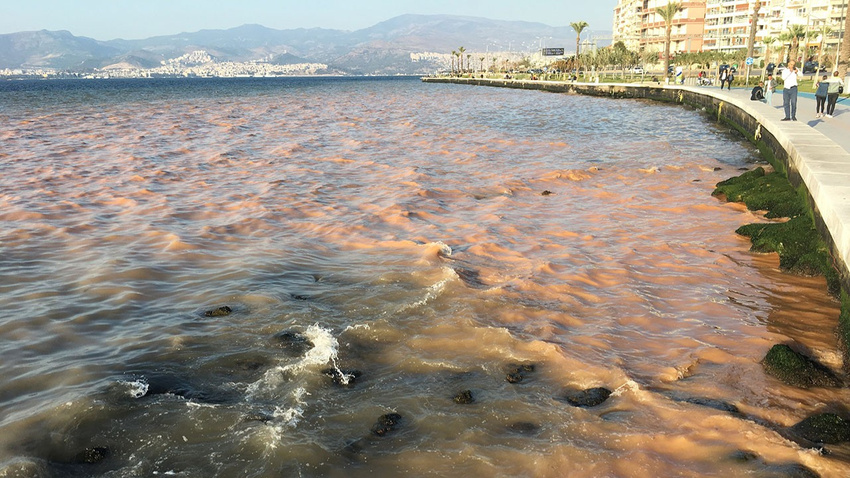 İzmir'de korkutan görüntü!