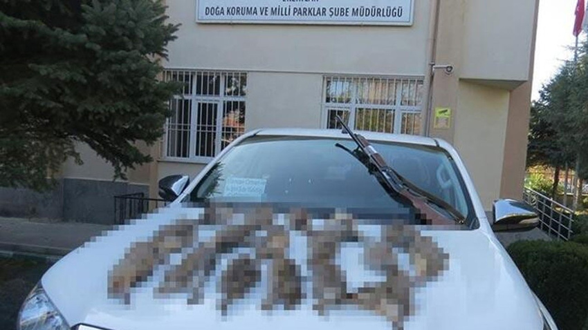 Usulsüz keklik avlayan 10 kişiye 17 bin 839 lira ceza kesildi
