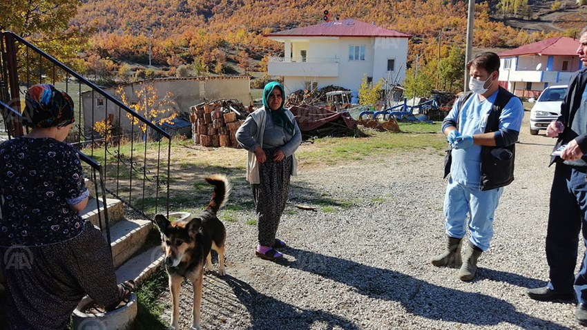 Kuduz tespit edilen mahalle karantinaya alındı