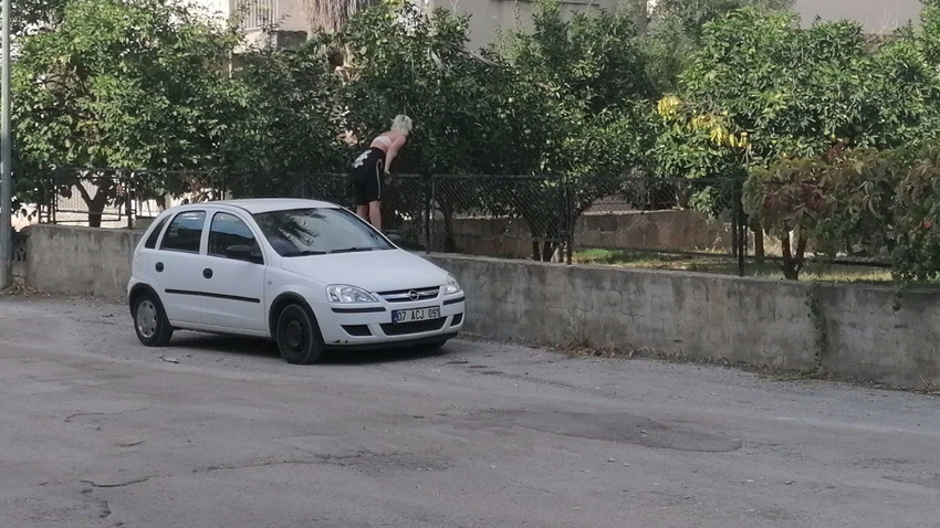 Yer: Antalya... Mahalleli ve polisi çileden çıkardı!.. Üzerindeki kıyafetleri çıkarıyor, evlerin bahçelerine dadanıyor!