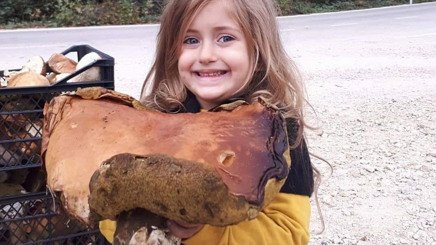 Her biri 2 kilo geliyor, tanesi 50 liradan satılıyor