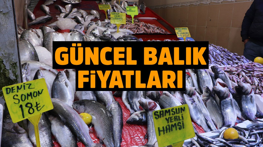 Hamsinin fiyatı düştü
