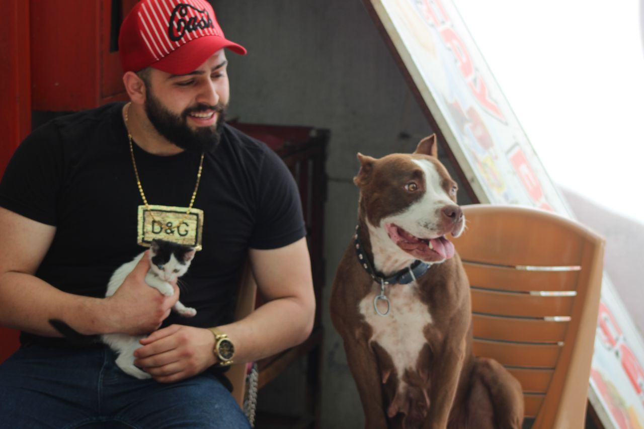 Pitbul yavru kediyi sahiplendi - Sayfa 4