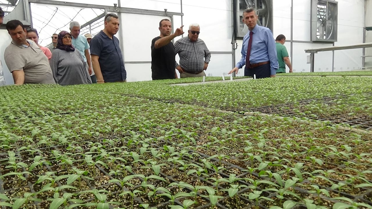Balıkesir'de 1500 kişiye iş fırsatı - Sayfa 2