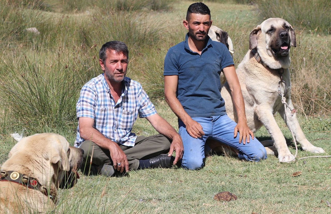 Aksaray Malaklısı'nın sırrı ortaya çıktı - Sayfa 3