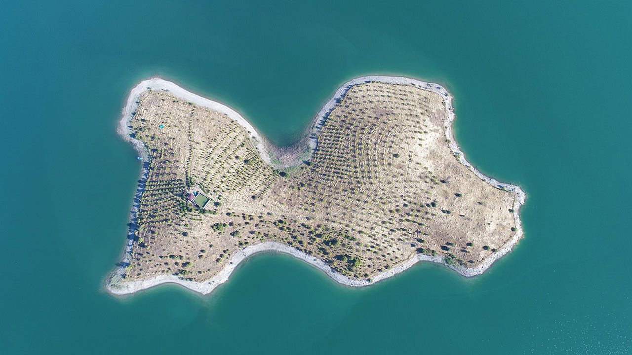 Türk "Robinson Crusoe" hikayesi - Sayfa 3