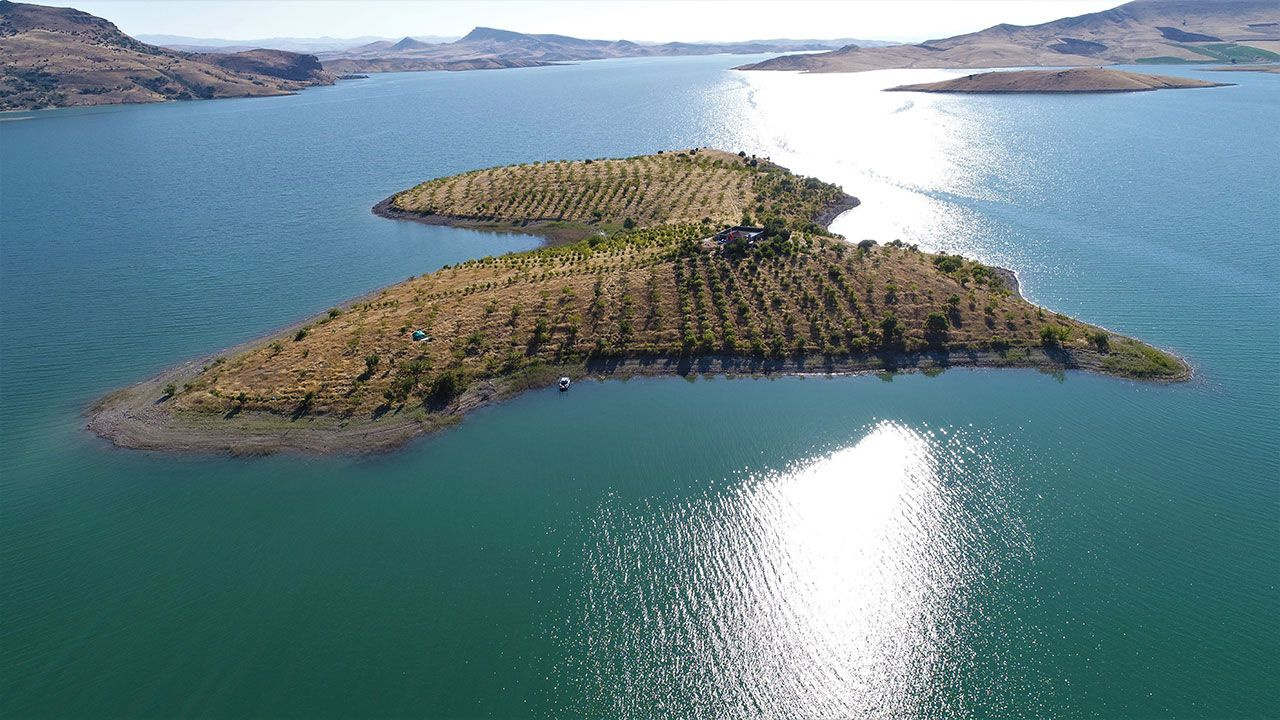 Türk "Robinson Crusoe" hikayesi - Sayfa 4