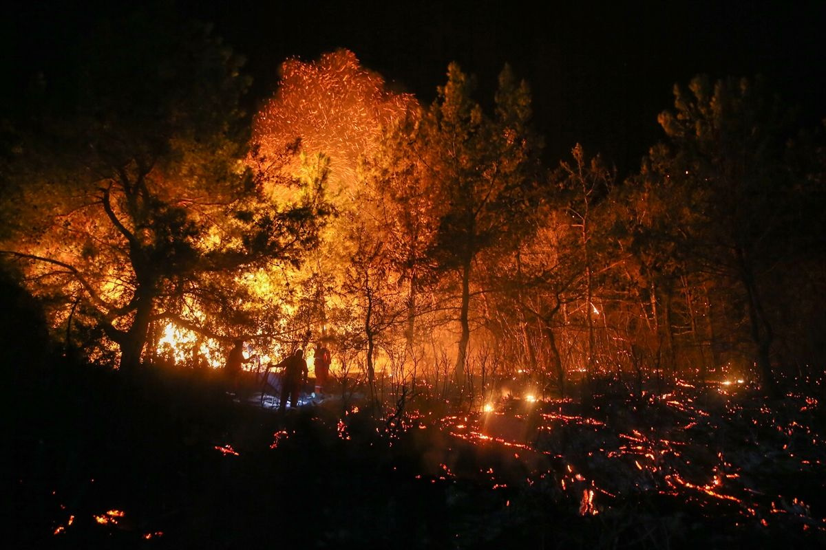 Antalya'nın Manavgat ilçesinde orman yangını - Sayfa 4