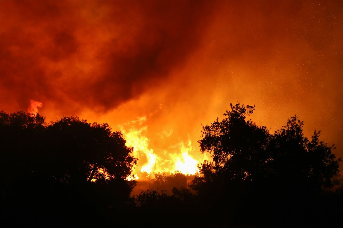 Antalya'nın Manavgat ilçesinde orman yangını - Sayfa 9
