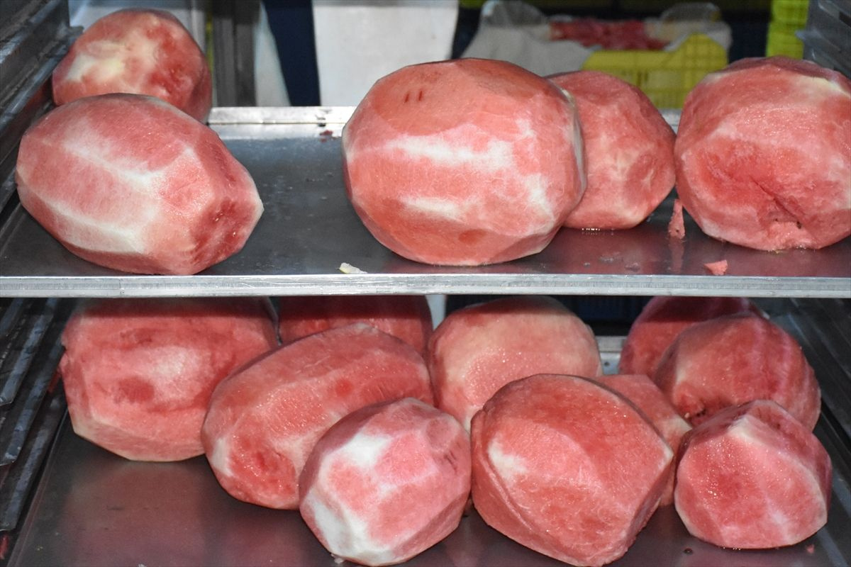 Kavun karpuzu kurutup cips şeklinde ABD ve Avrupa'ya satıyorlar - Sayfa 2