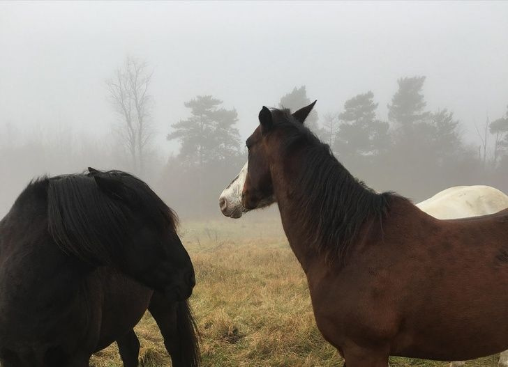 Beyin yakan fotoğraflar - Sayfa 1