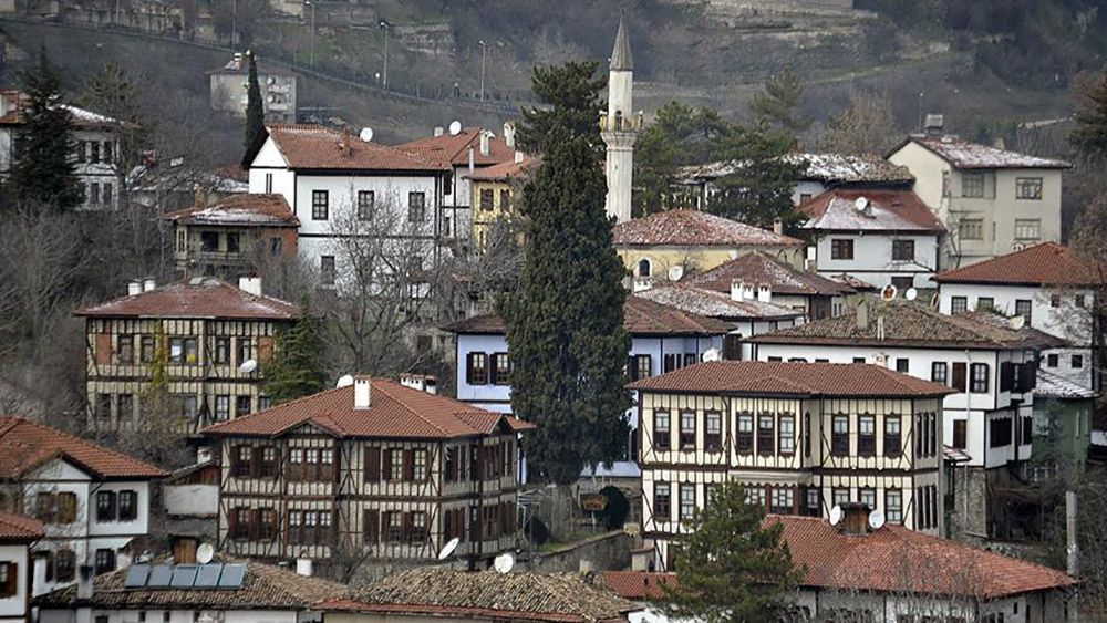 'Mucize bitki' safranda hasat zamanı - Sayfa 1