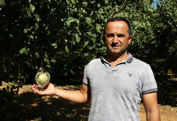 Her ağaçta sadece 1 tane yetişiyor - Sayfa 3